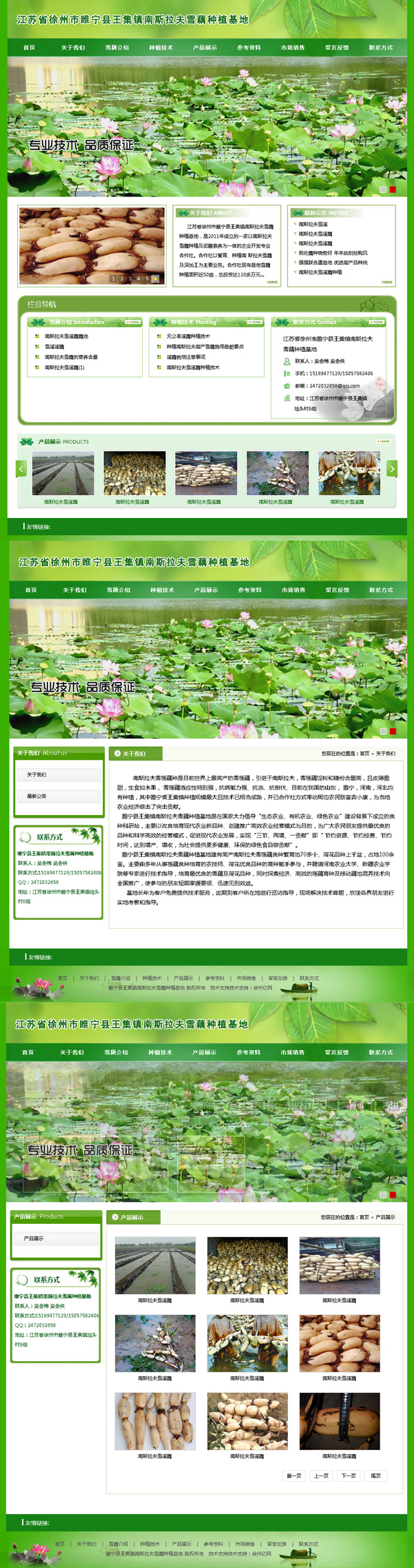 江苏省徐州市(j��ng)睢宁县王集镇南斯拉夫雪藕�U�植基地